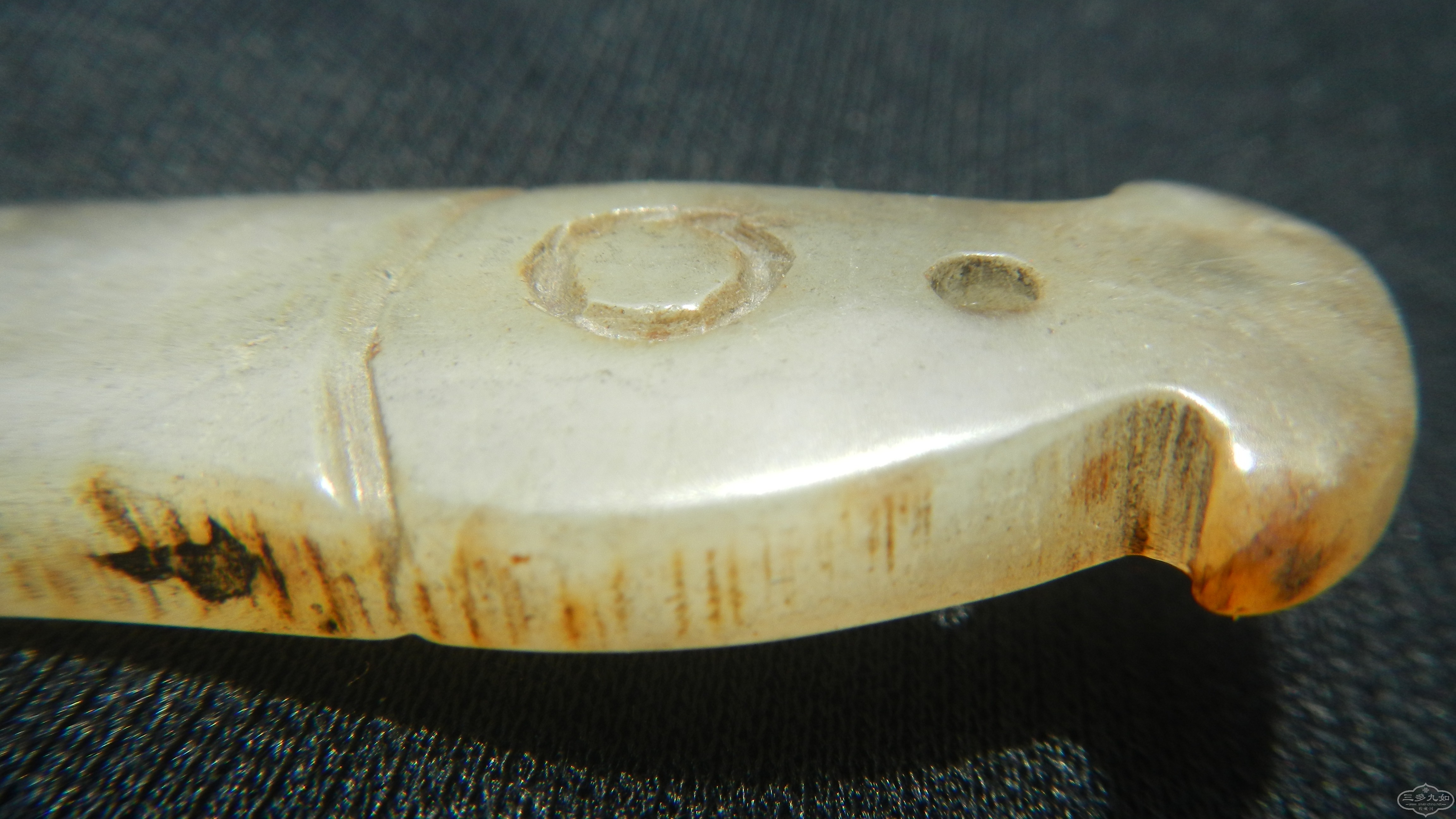 DSCN8496.JPG