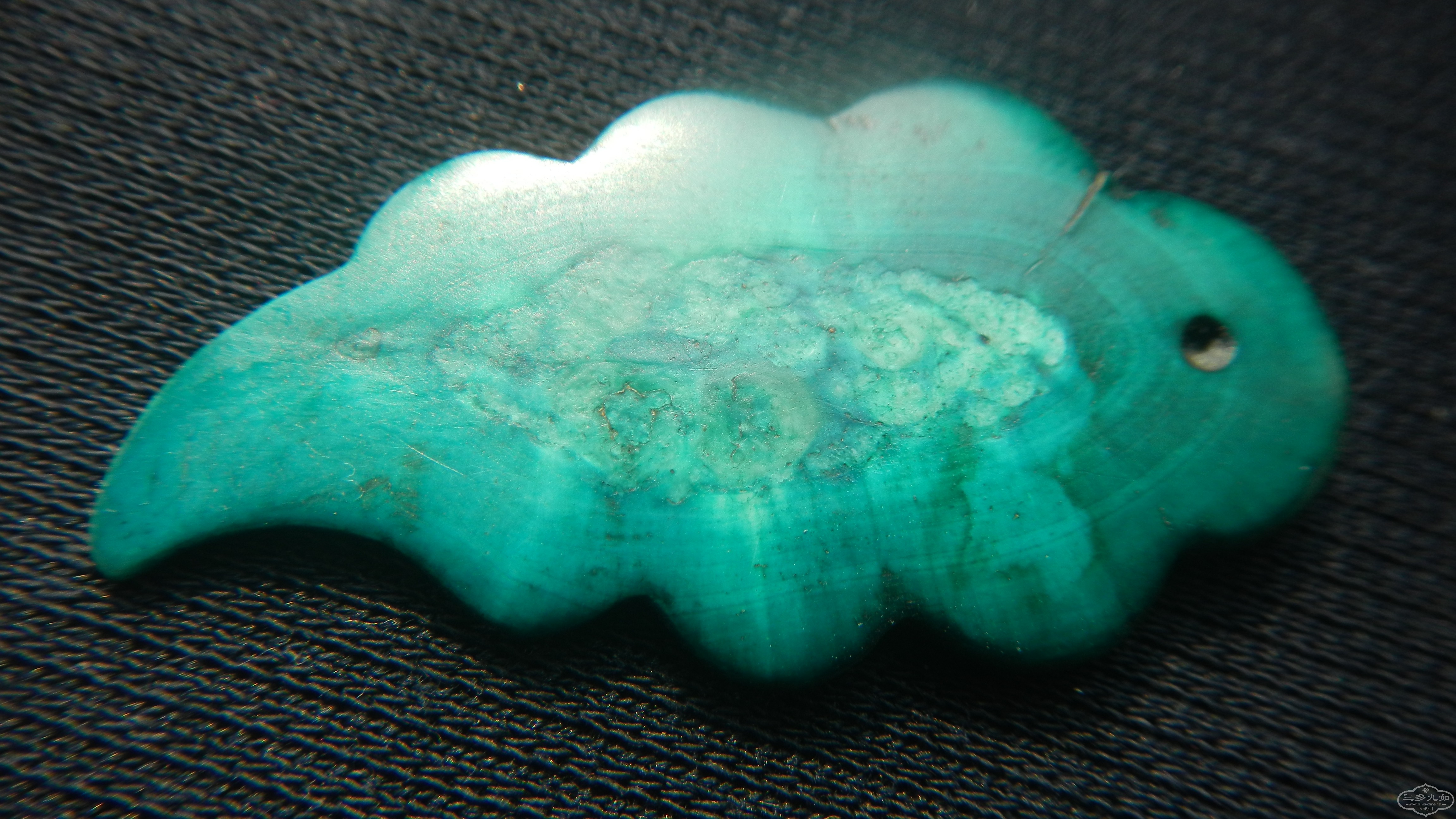 DSCN8530.JPG