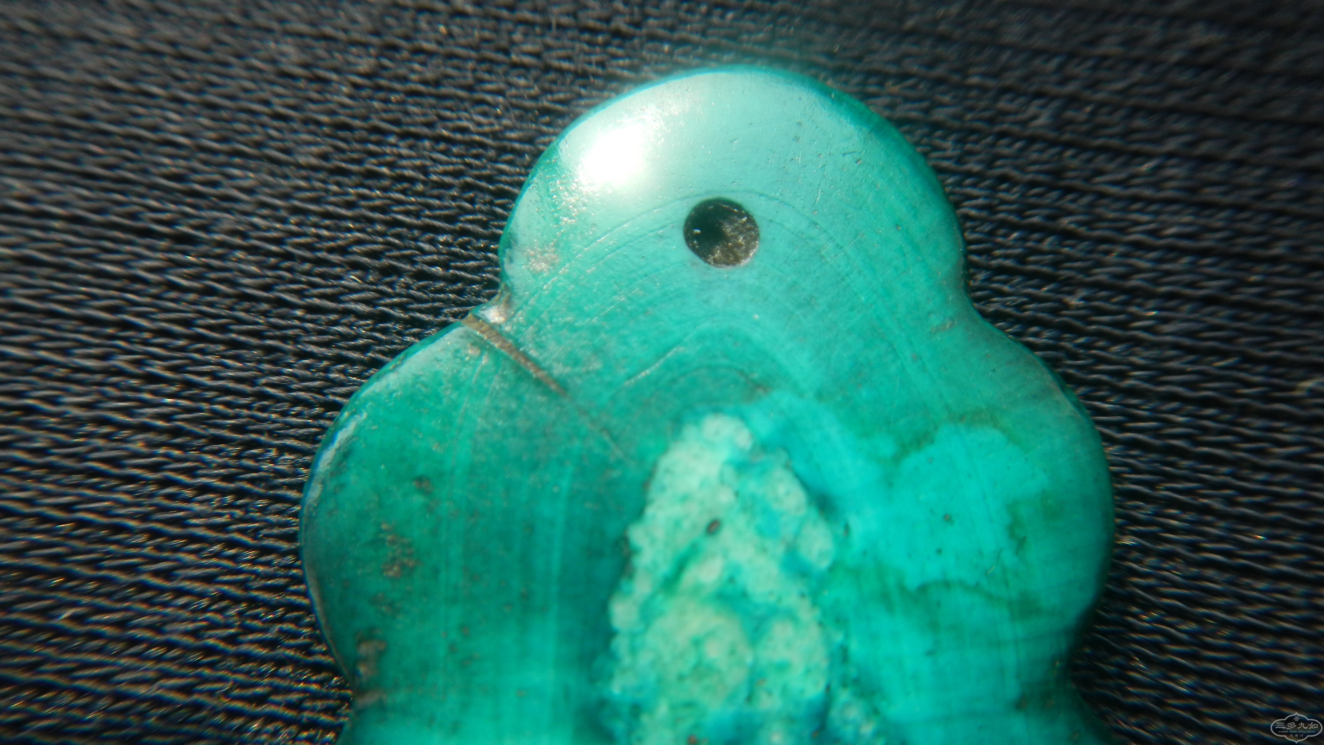 DSCN8533.JPG