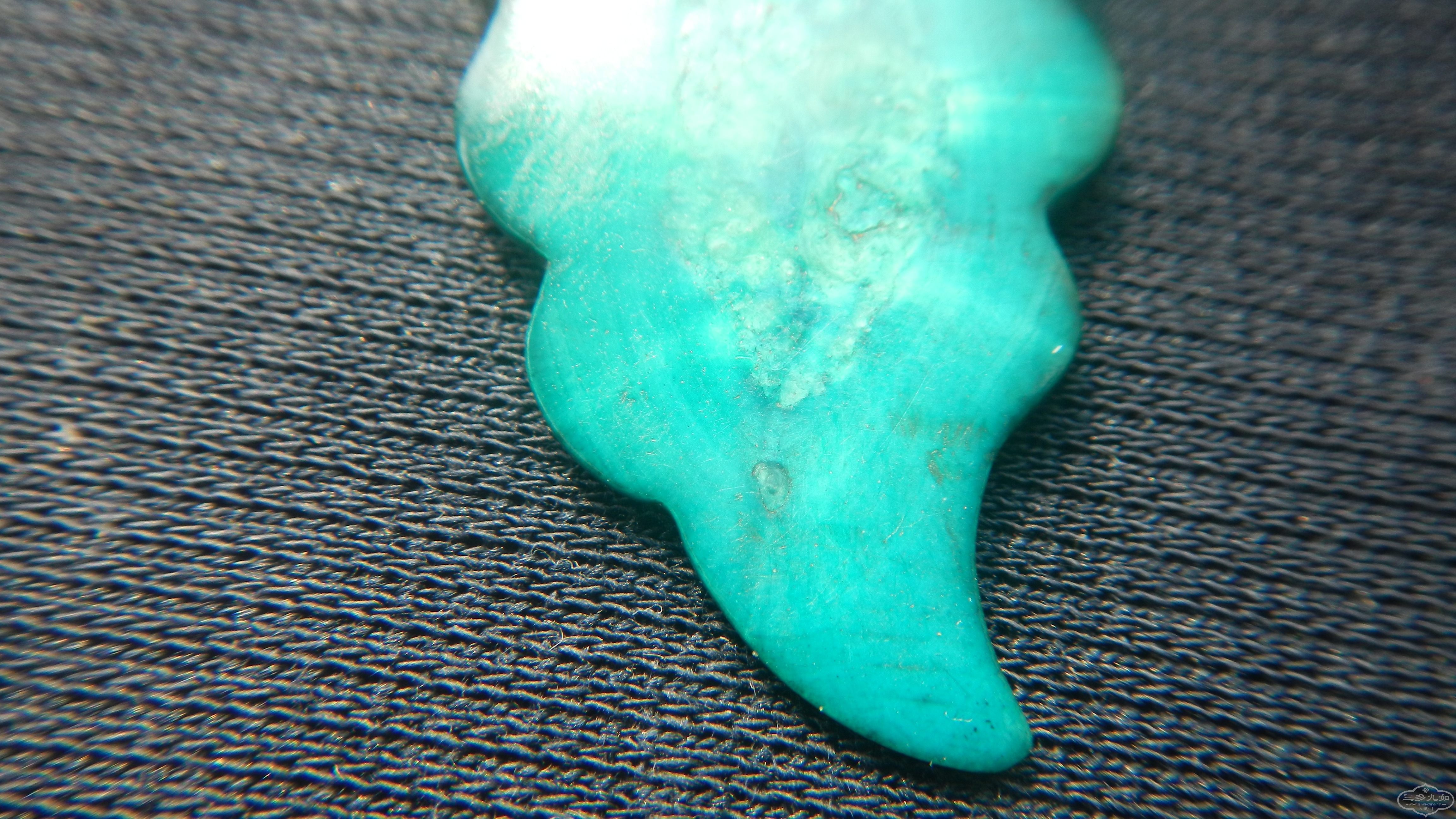 DSCN8534.JPG
