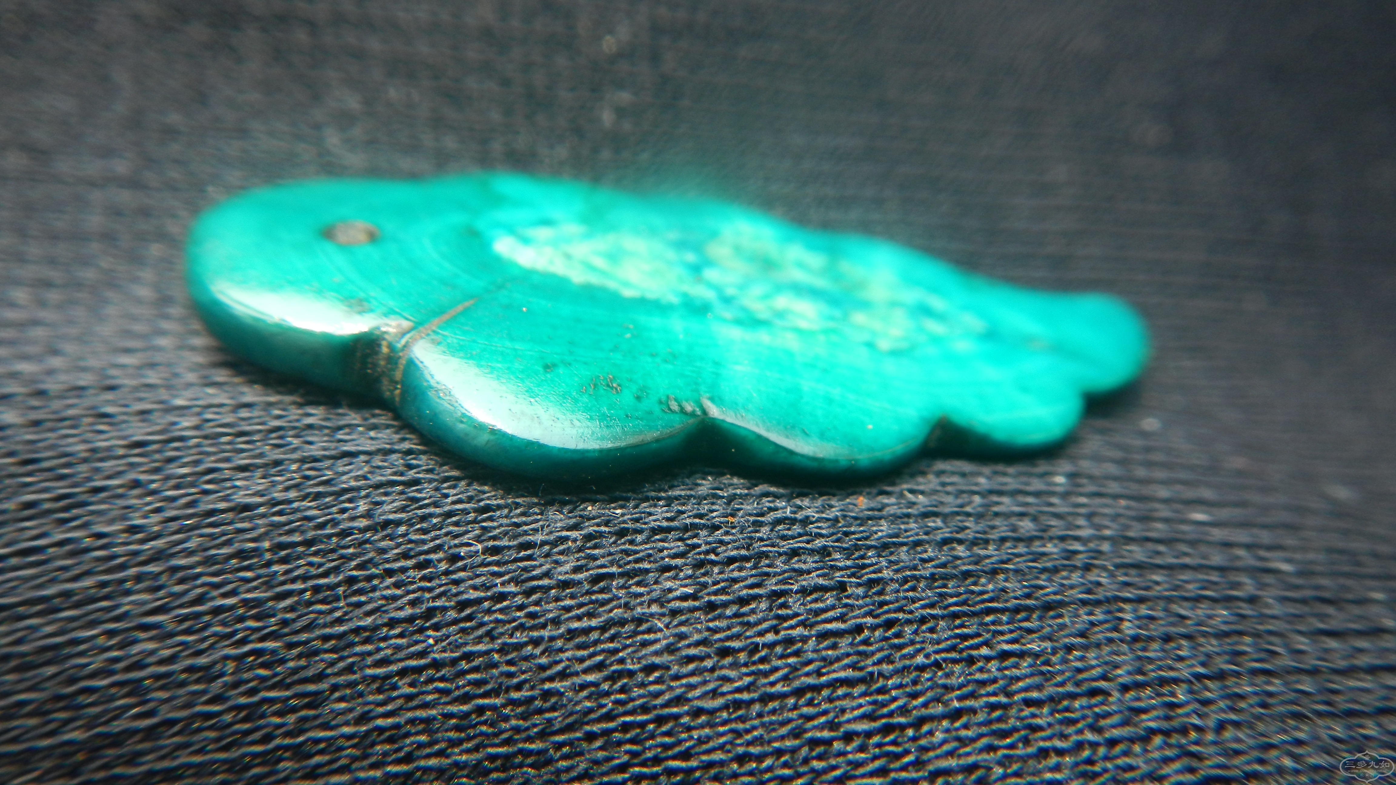 DSCN8535.JPG