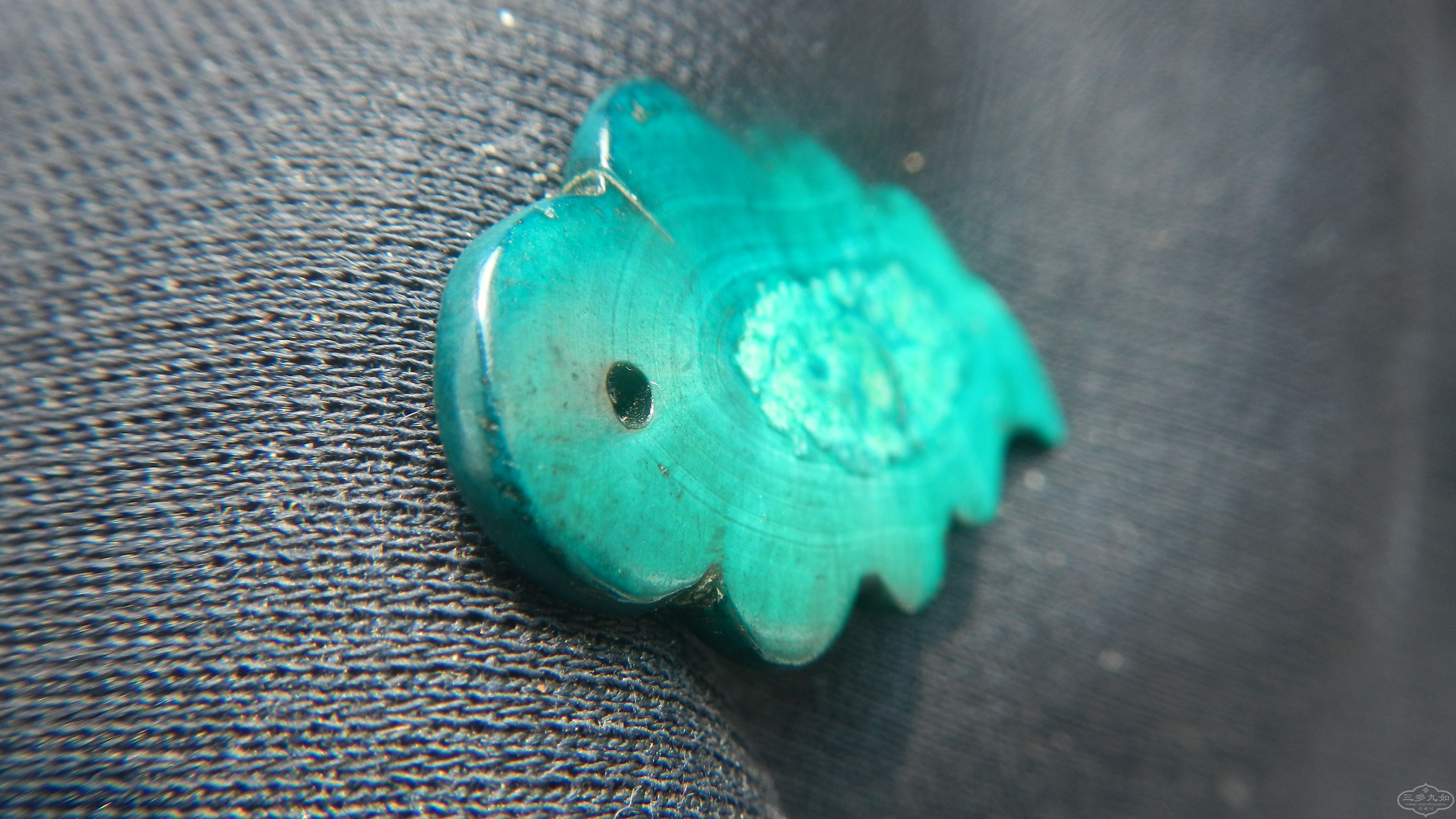 DSCN8537.JPG
