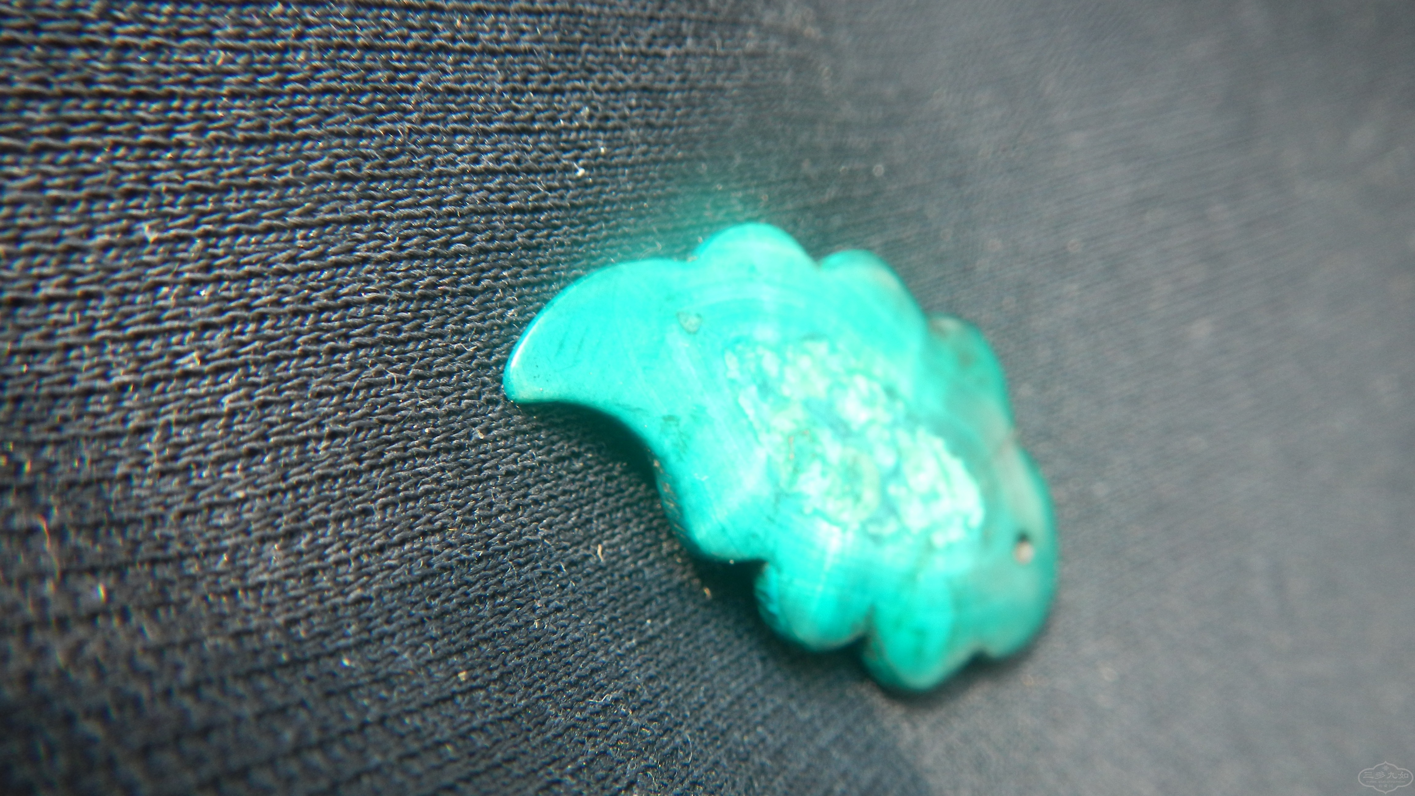 DSCN8538.JPG