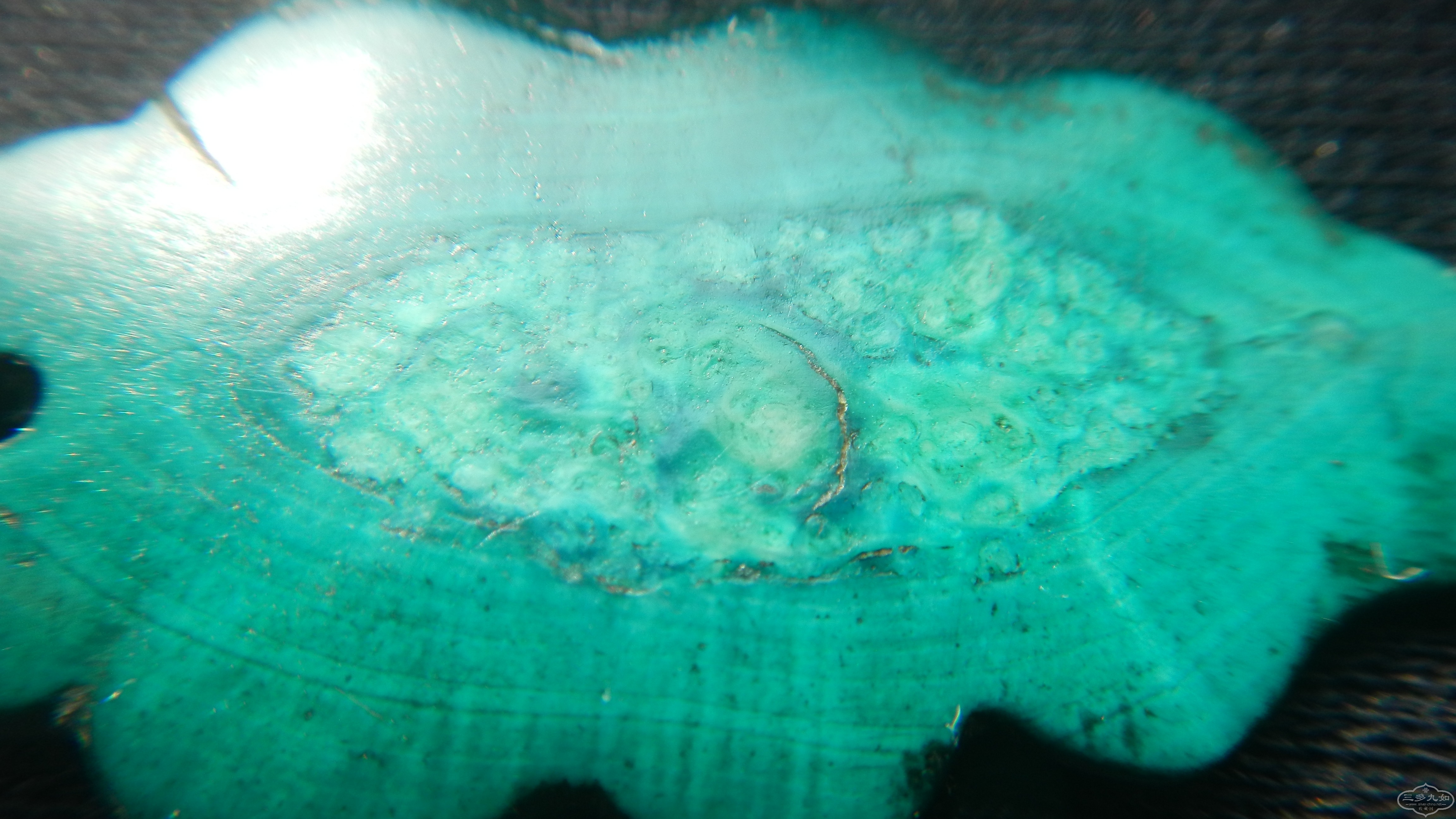 DSCN8540.JPG