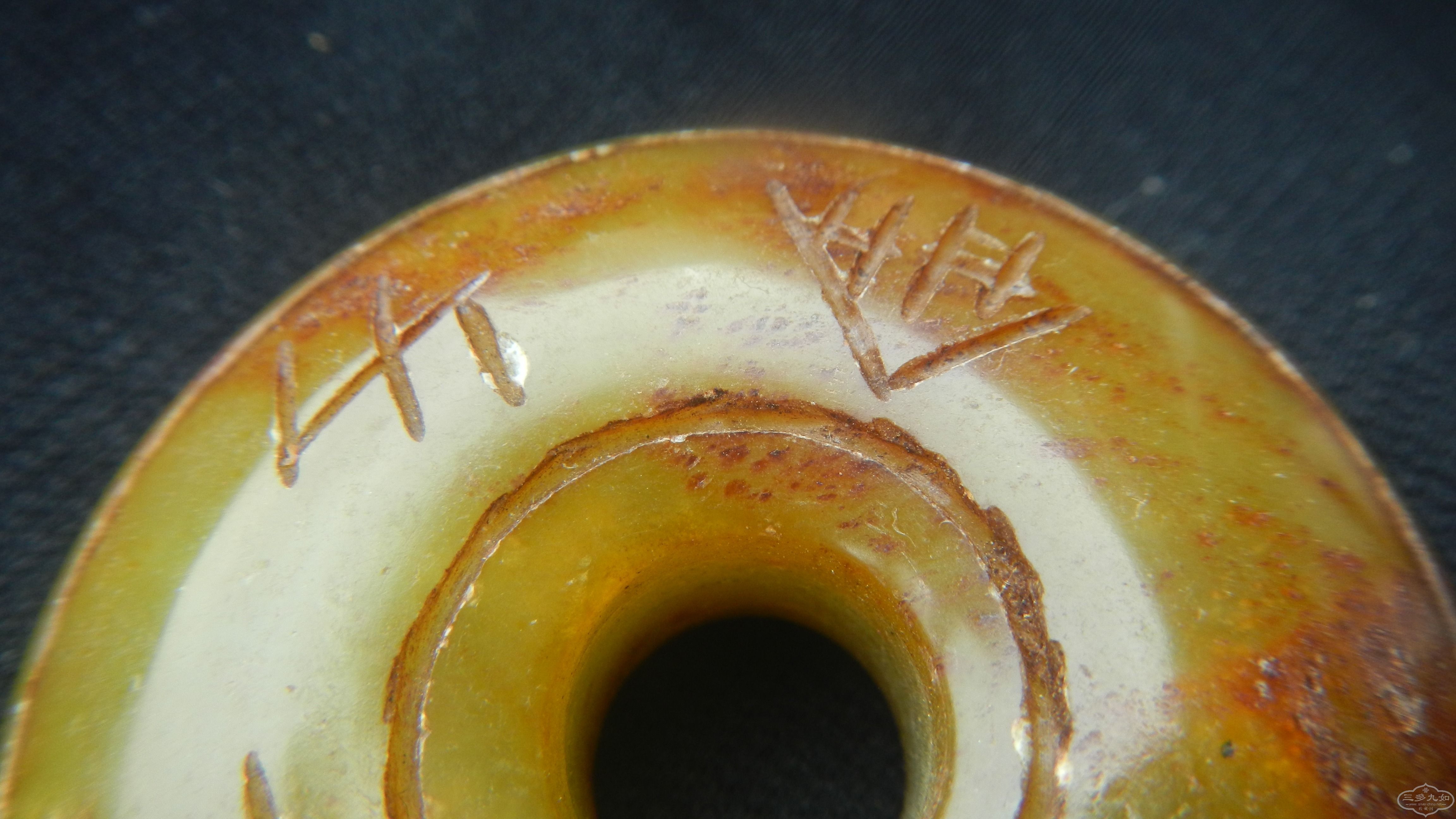 DSCN8544.JPG