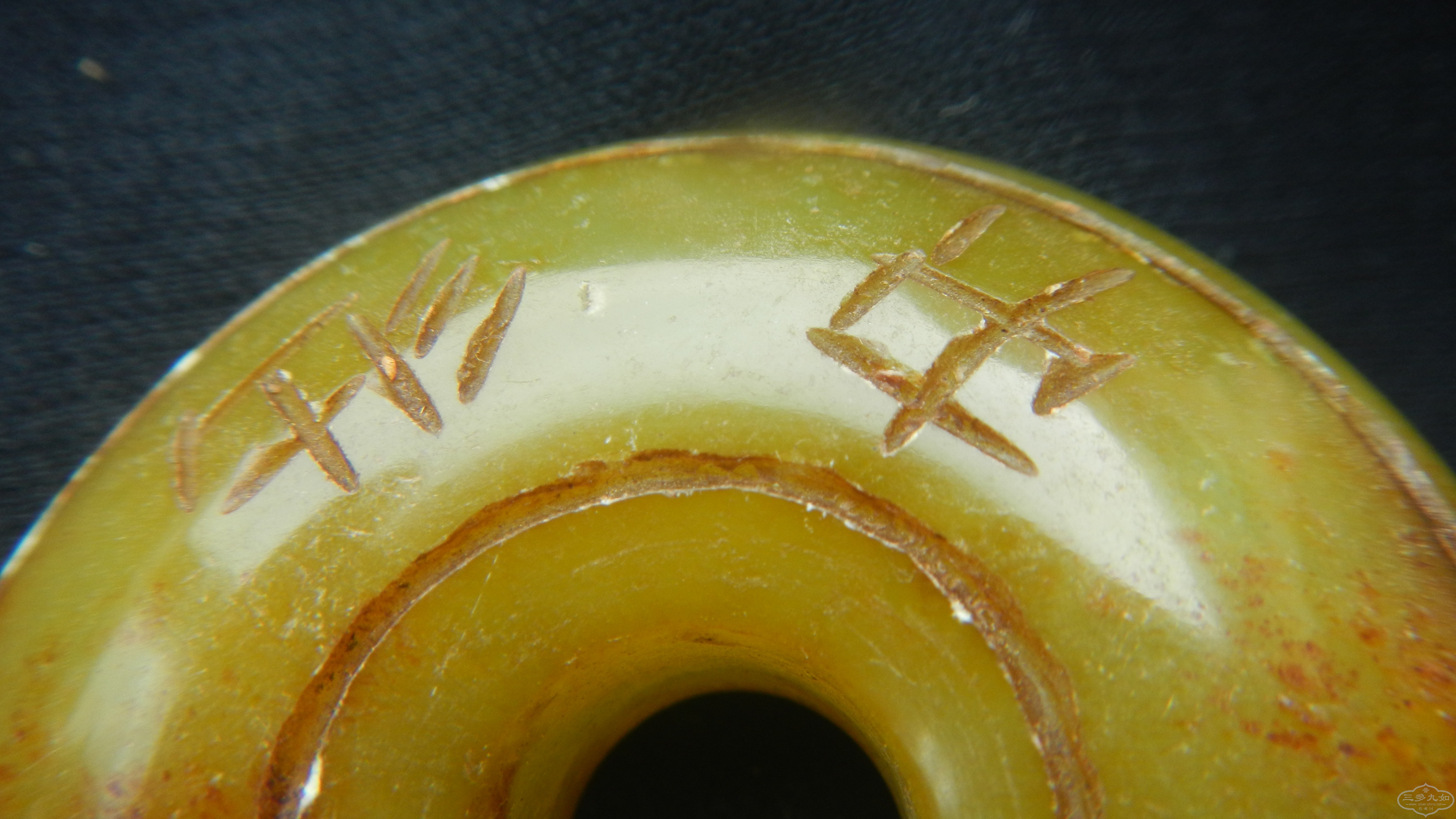 DSCN8547.JPG