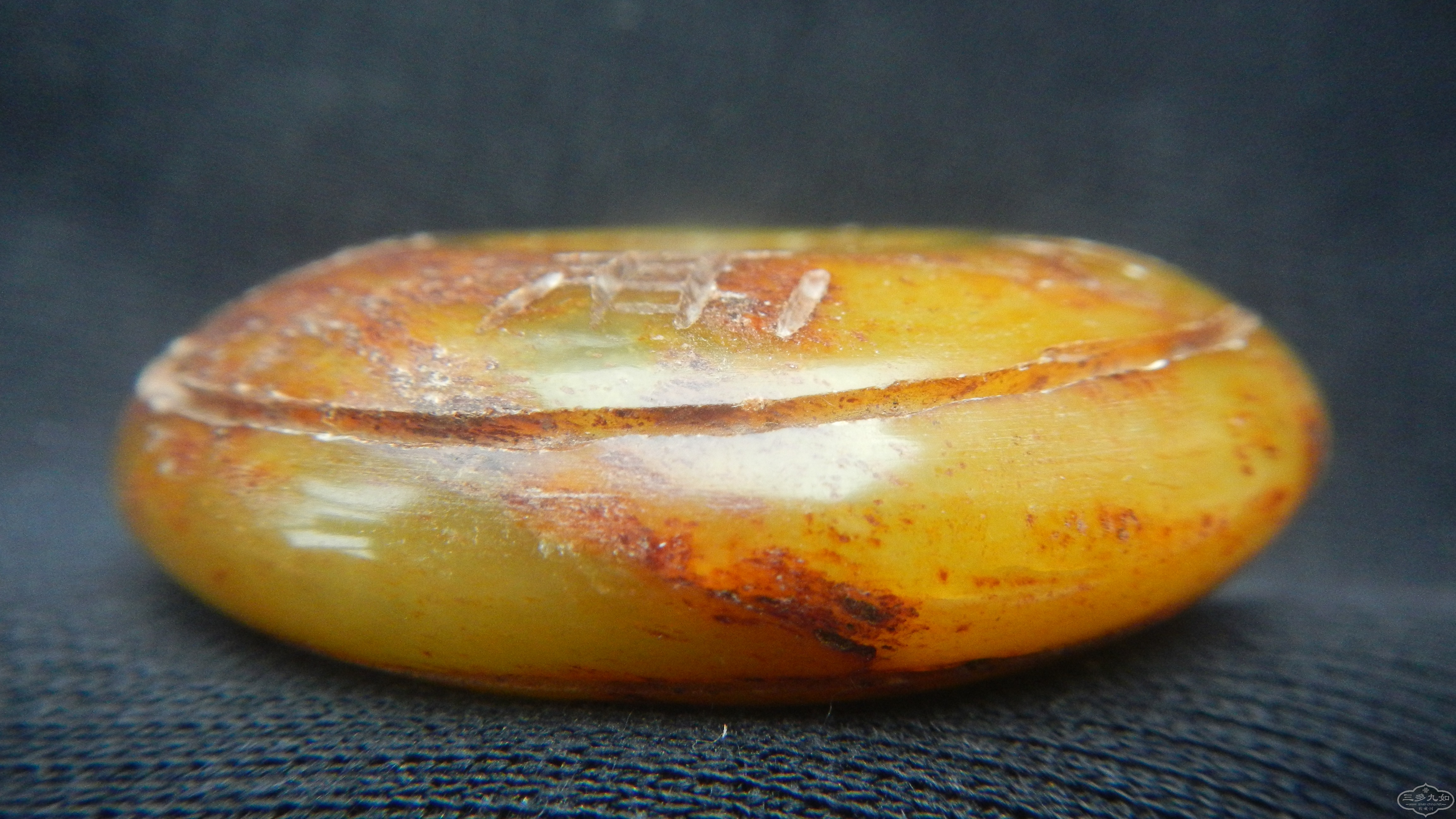 DSCN8549.JPG