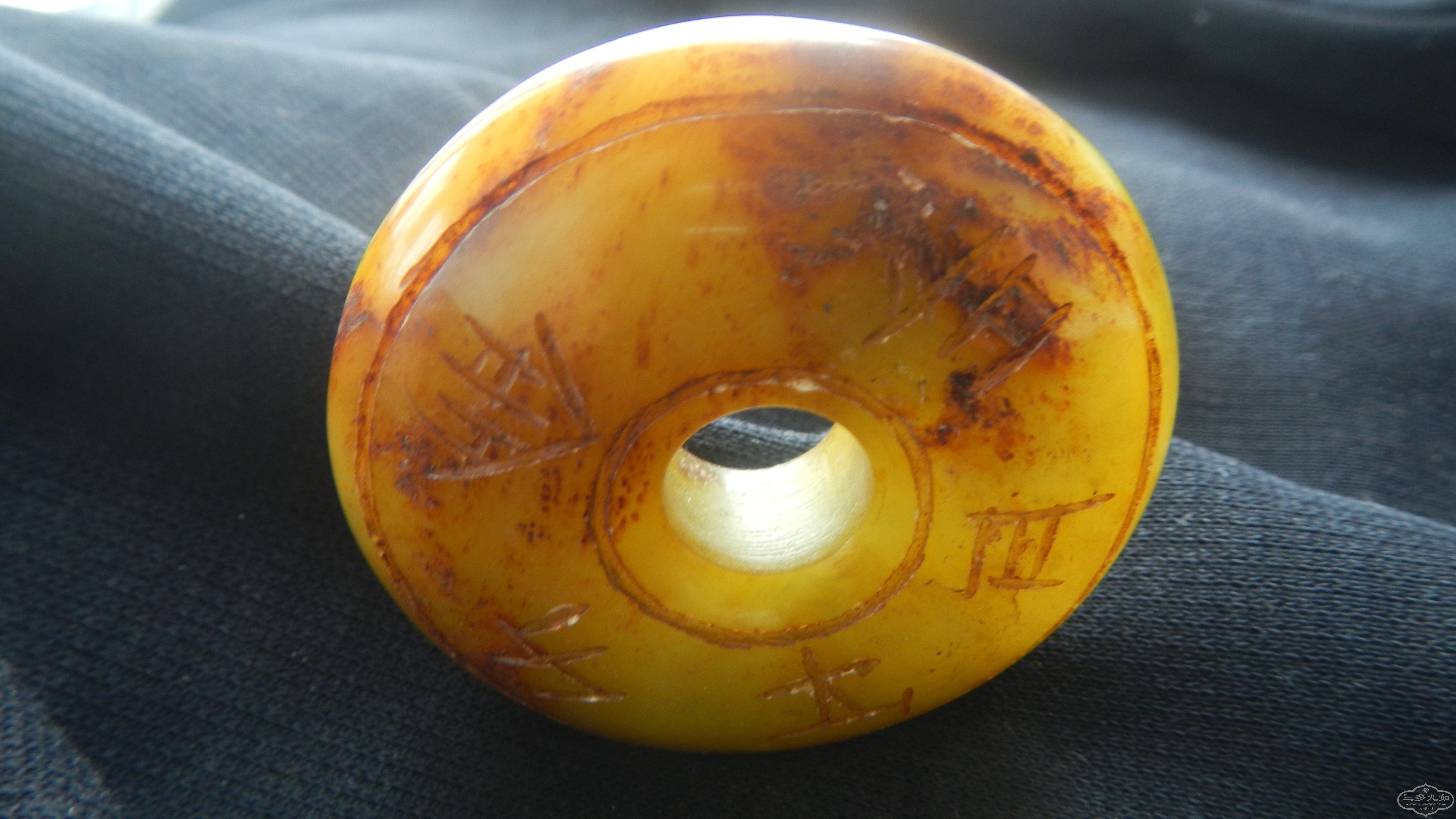 DSCN8551.JPG