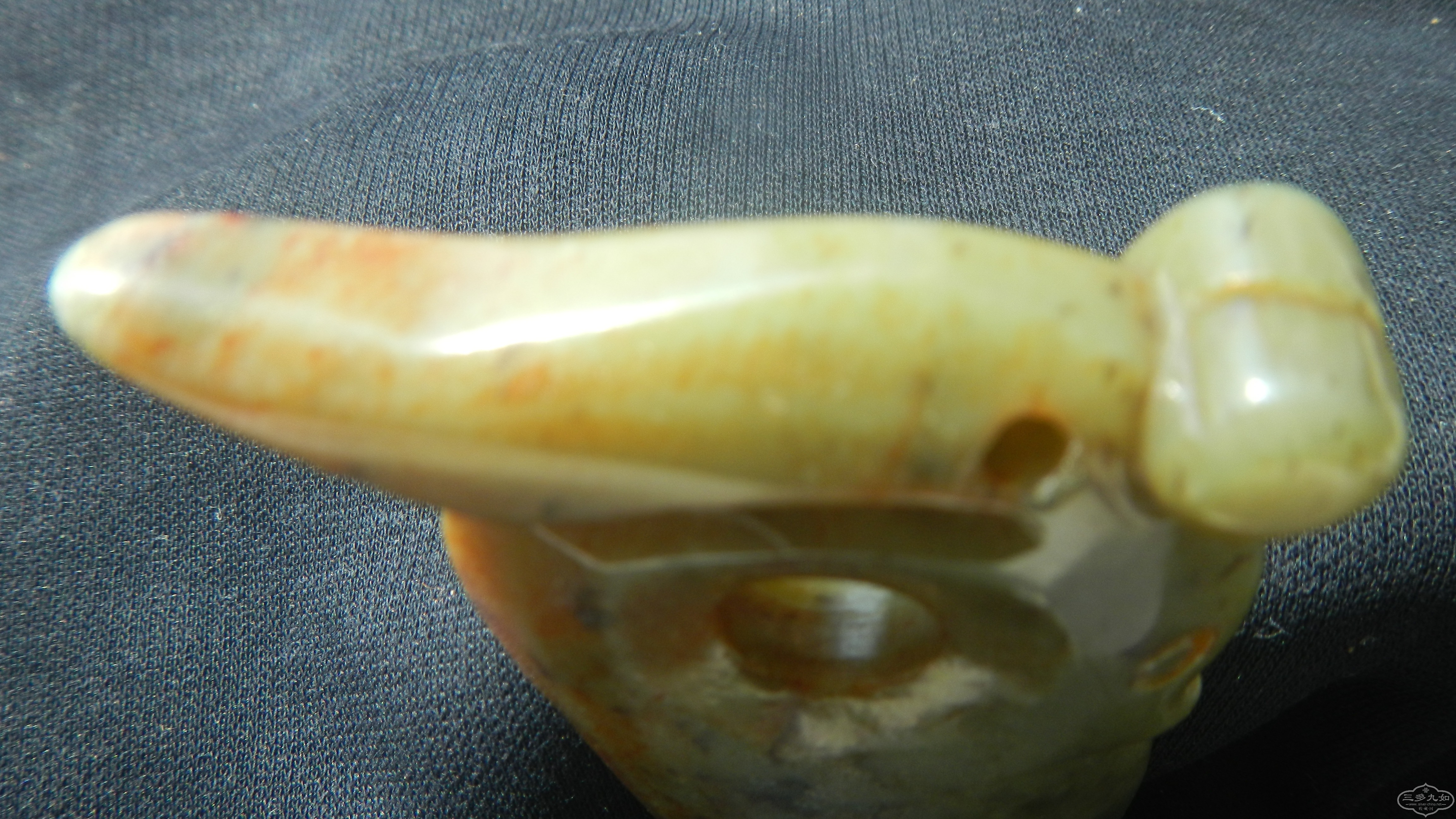 DSCN8636.JPG