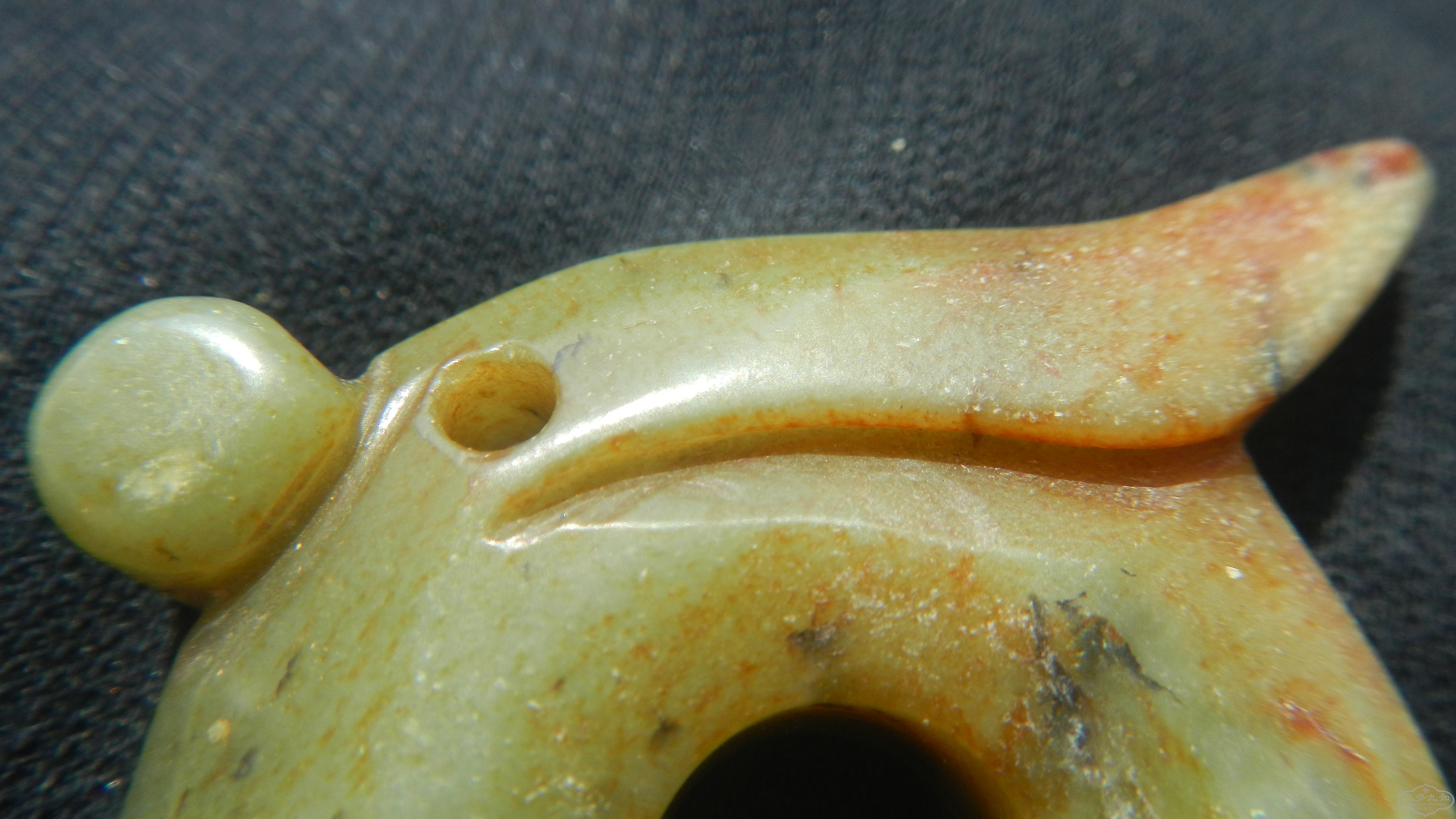 DSCN8639.JPG