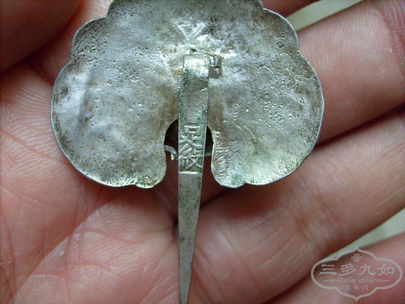 S7304244.JPG
