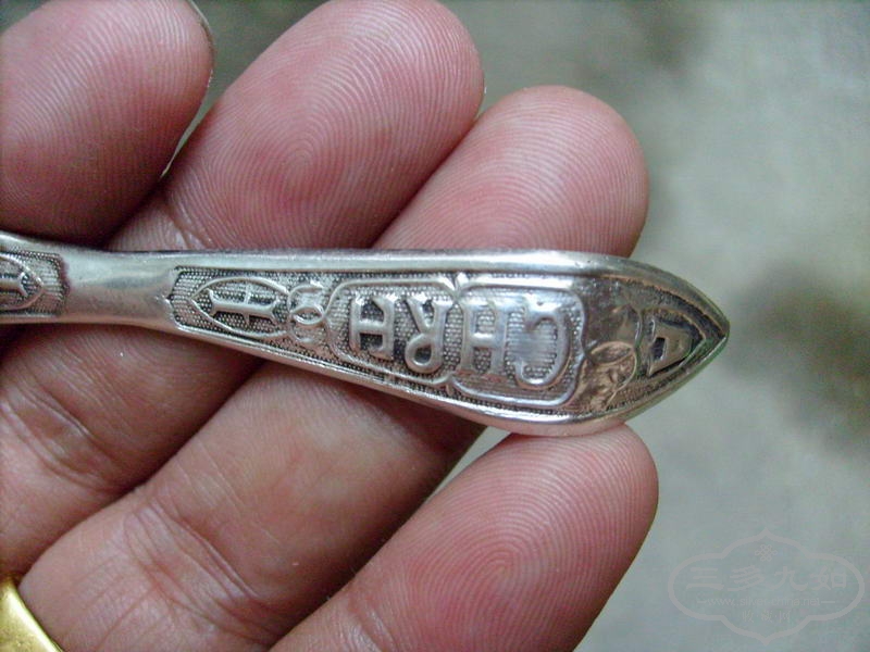 S7304209.JPG