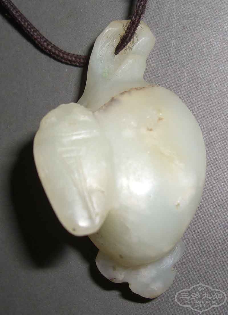 CIMG7713.jpg