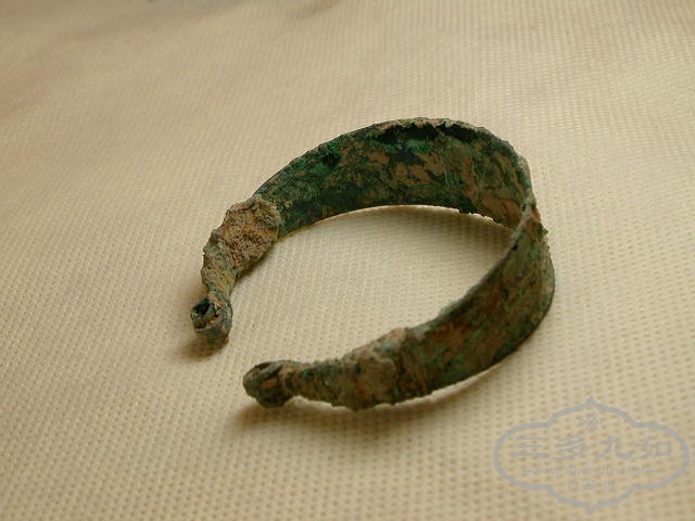 DSCN9110.JPG