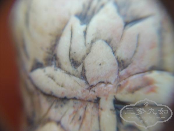 荷花章 04.jpg