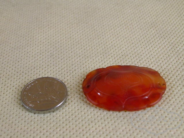 DSCN1273.JPG