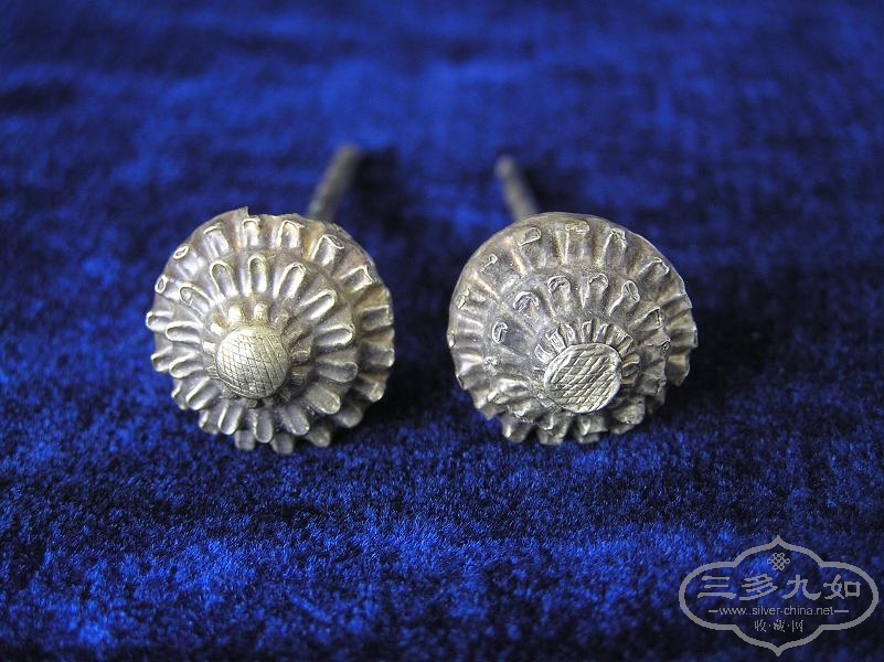 P8250097��5.7��11.1�˽�ͷ����һֻ���е�С��.JPG