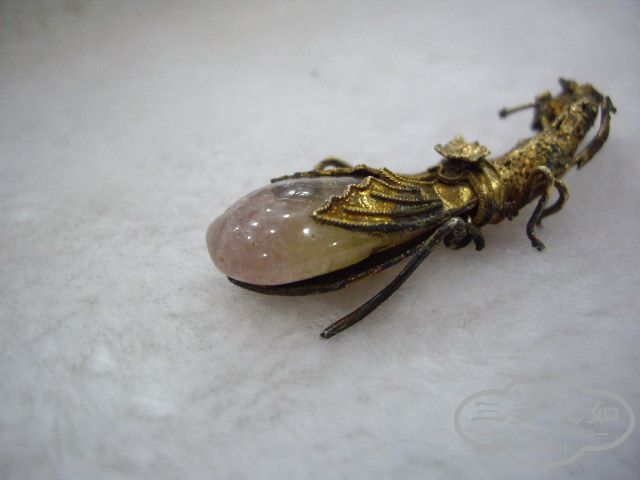 IMGP8883.JPG