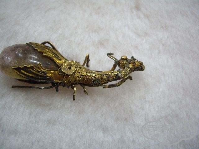 IMGP8882.JPG