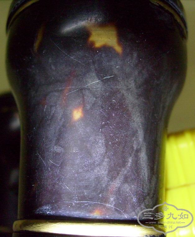 S7309286.JPG