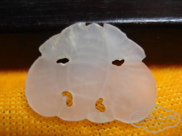 DSC01454.JPG