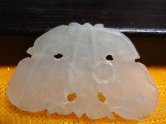 DSC01445.JPG
