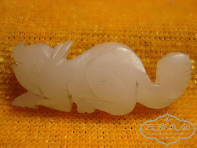DSC01497.JPG