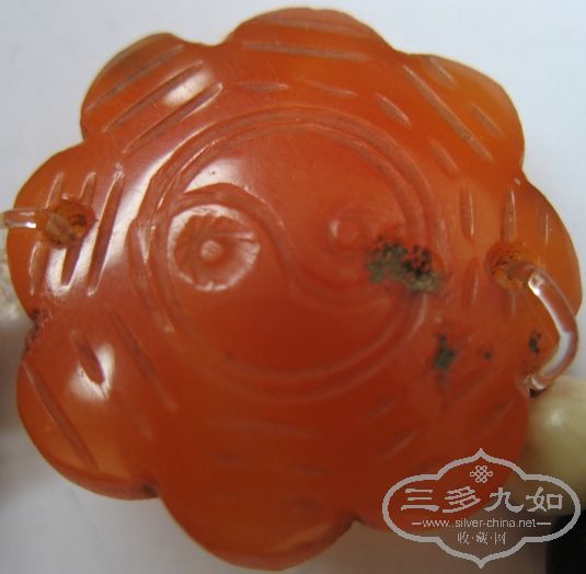 照片 750.jpg