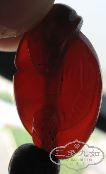 照片 760.jpg