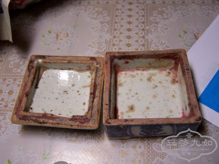 100_6782.jpg