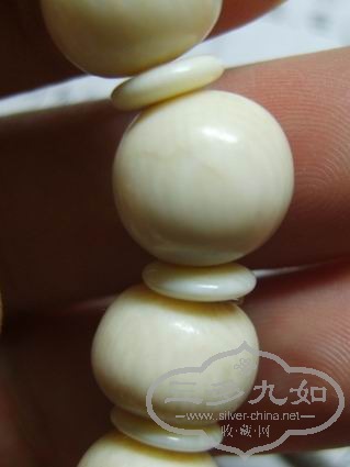 S8300508.jpg