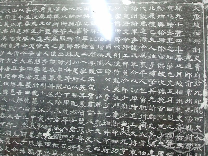 DSCF0014.JPG