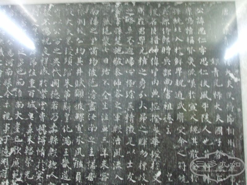DSCF0012.JPG