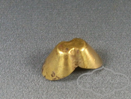 SL378371.JPG