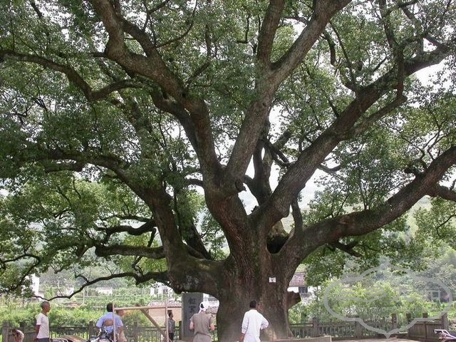 DSCN6301.JPG