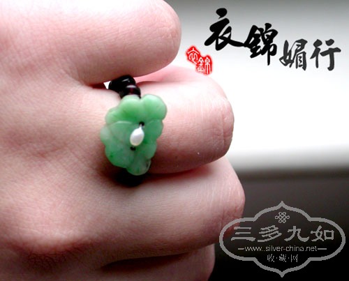 DSCN8753.jpg