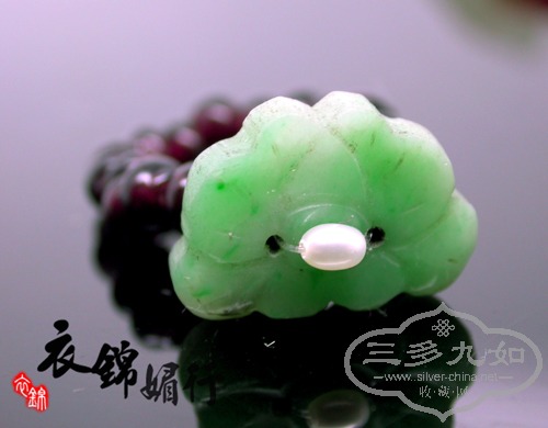 DSCN8739.jpg