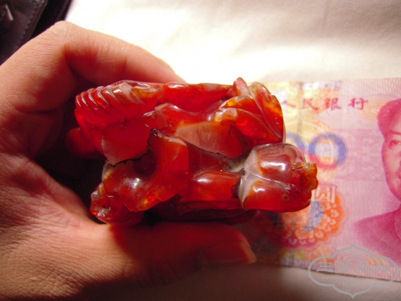 DSCN9125.JPG