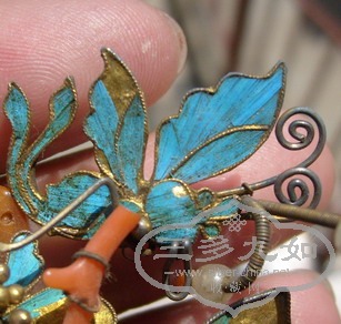 S6305540.jpg
