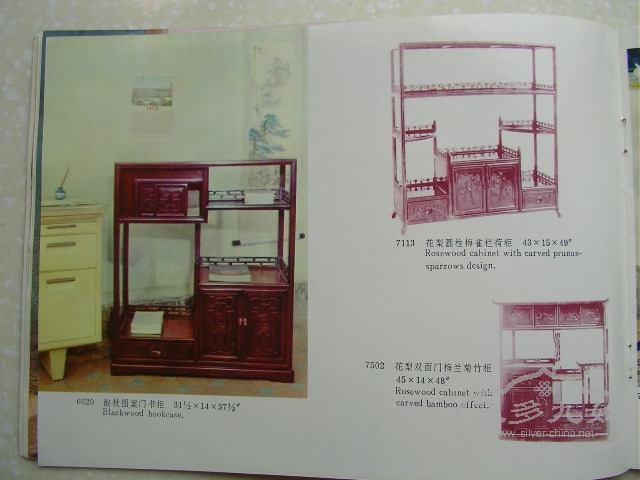 SANY8474.JPG