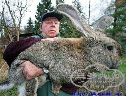 43_15929_44dff00c83c3b63[1].jpg