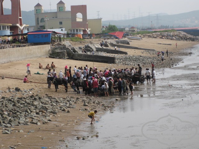 Ƭ 1296.jpg