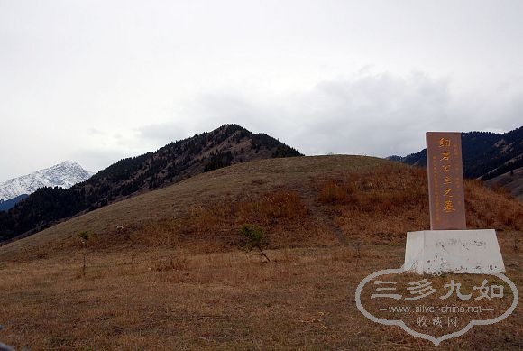 DSC_7767.jpg