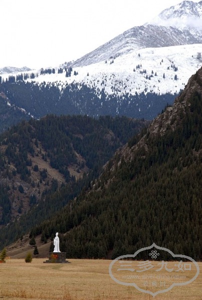 DSC_7748.jpg