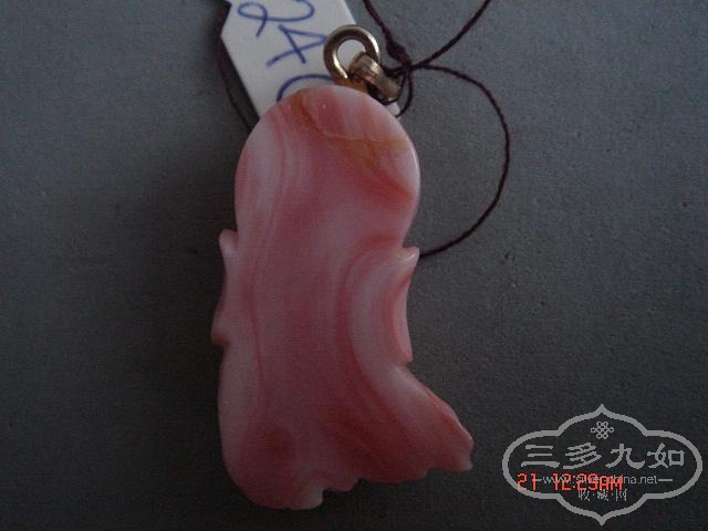 DSC07513.JPG
