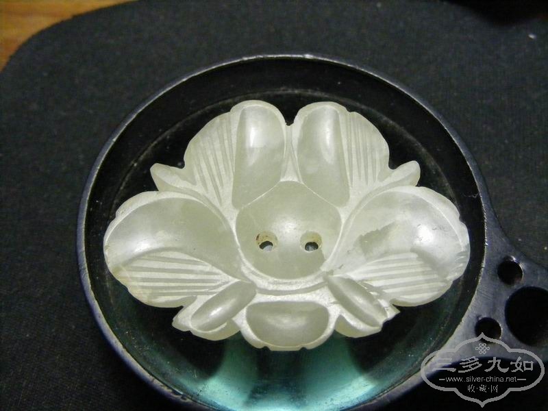 DSCF0731.JPG