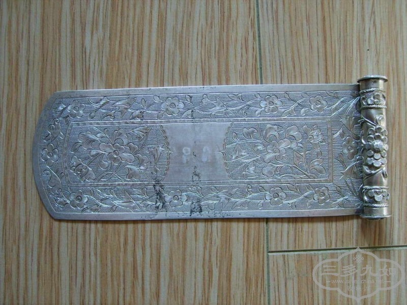 S5004512.JPG