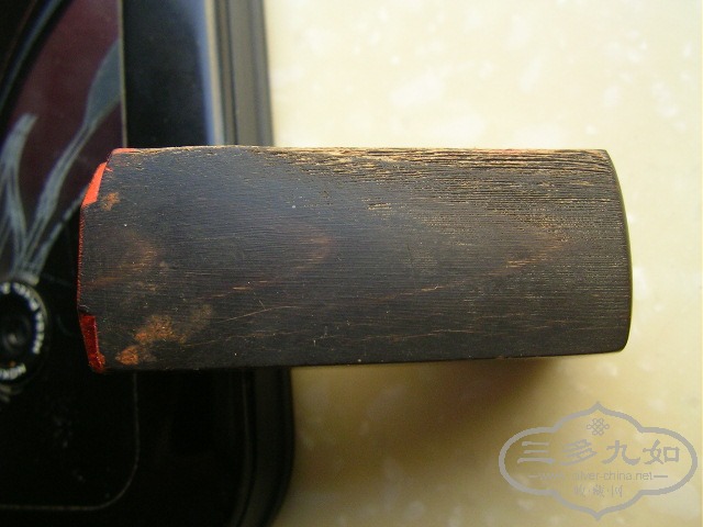 SANY8630.JPG