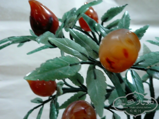 P1010207.JPG