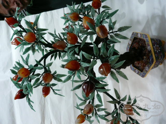 P1010204.JPG